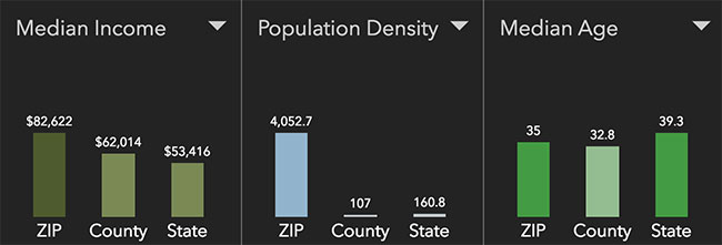 Nashville Neighborhood Statistics