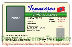 drivers-license