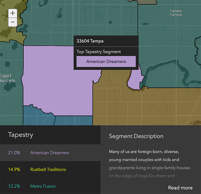 Tampa Neighborhood Demographics