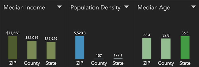 Atlanta Neighborhood Statistics