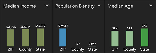 Chicago Neighborhood Statistics