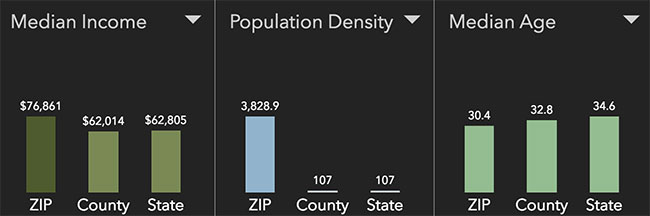 San Antonio Neighborhood Demographics