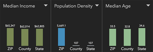 Austin Neighborhood Statistics