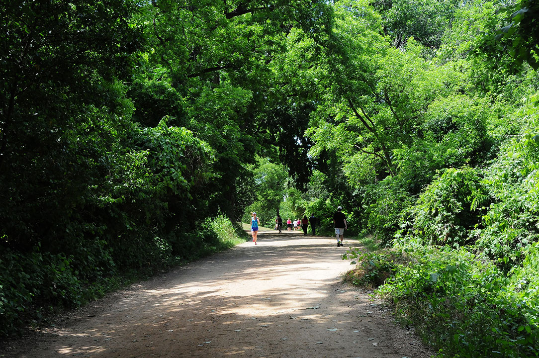 Coffee Near Zilker Park : 21 Best Patios In Austin To Wine Dine Updated