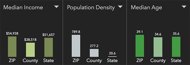 Boise Neighborhood Statistics