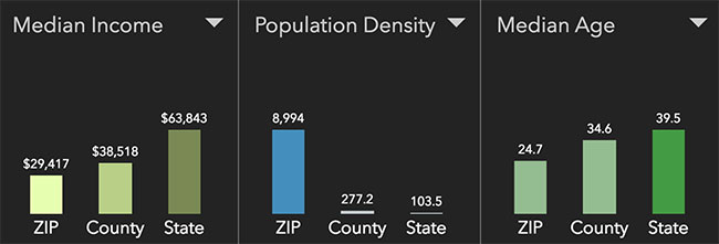 Madison Neighborhood Statistics