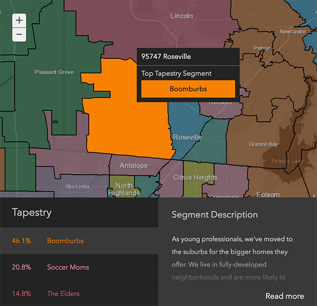 Roseville Neighborhood Demographics