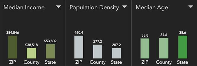 Chapel Hill Neighborhood Statistics