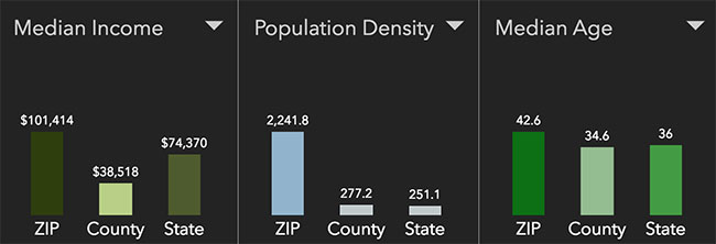 Concord Neighborhood Statistics