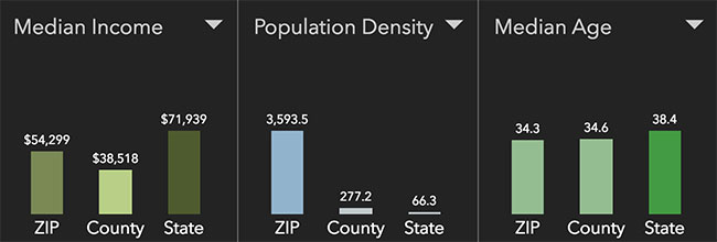 Minneapolis Neighborhood Statistics