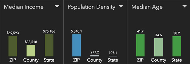 Tacoma Neighborhood Statistics