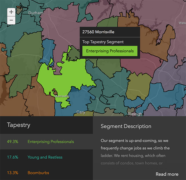 Raleigh Neighborhood Demographics