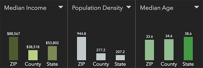 Raleigh Neighborhood Statistics