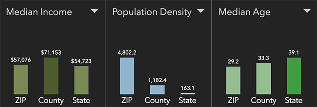 Charleston Neighborhood Statistics