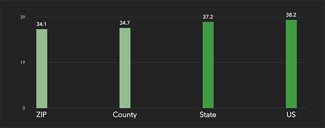 Denver Median Age