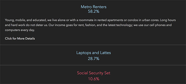 Denver Neighborhood Demographics