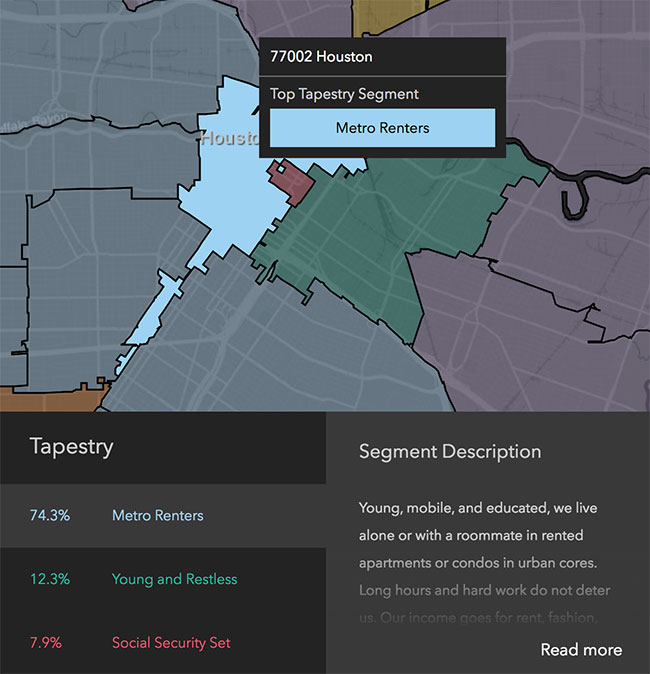 Houston Neighborhood Demographics