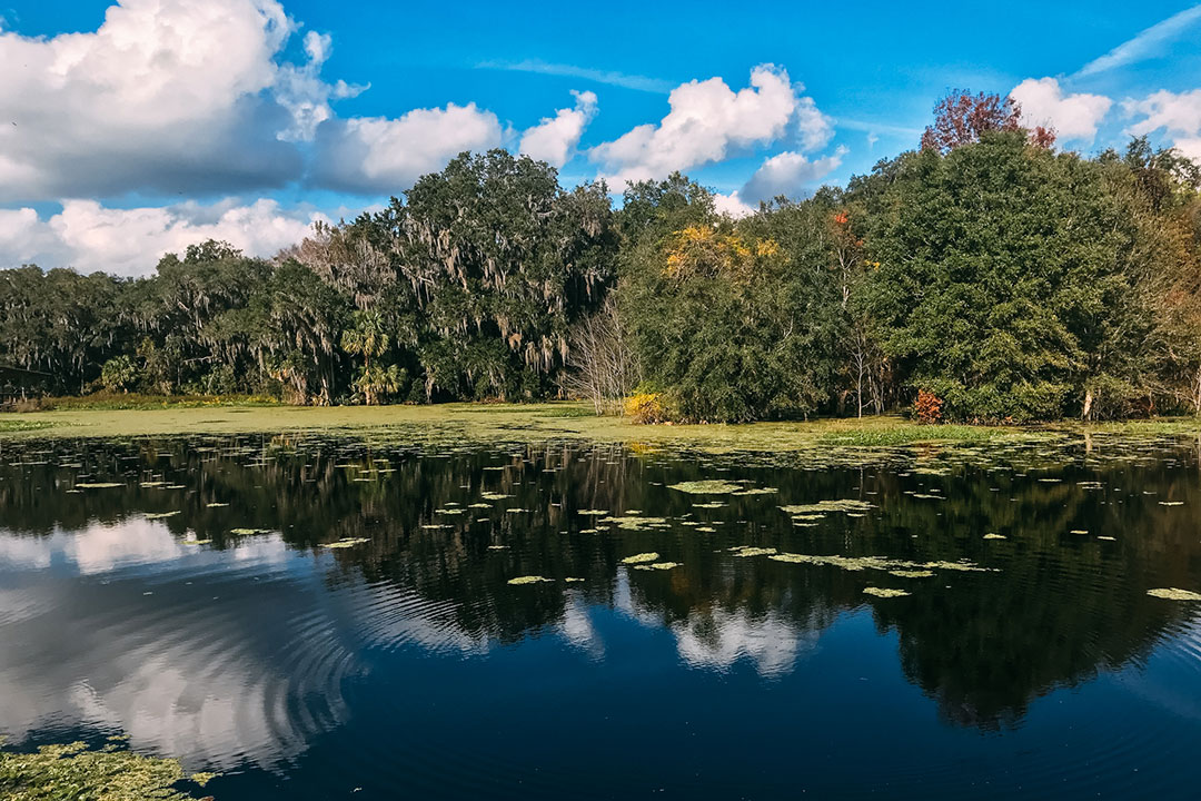 Gainesville, Florida