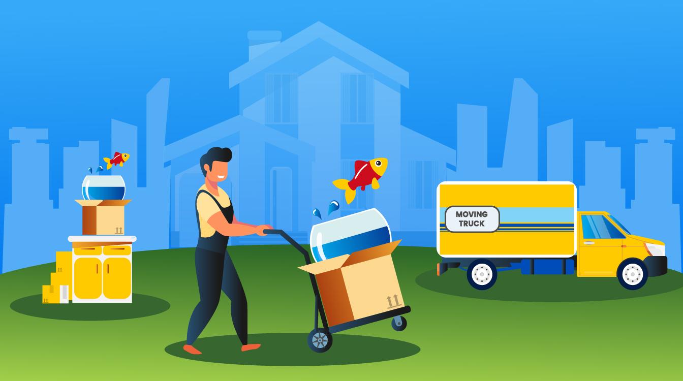 Move Your Fish Tank With These 6 Easy Steps moveBuddha
