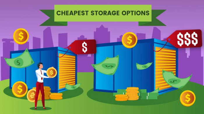 214.-Cheapest-storage-options,-Budhha