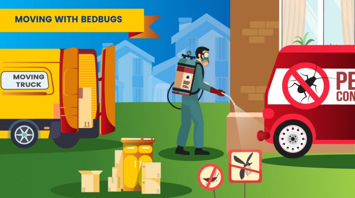 moving-with-bed-bugs