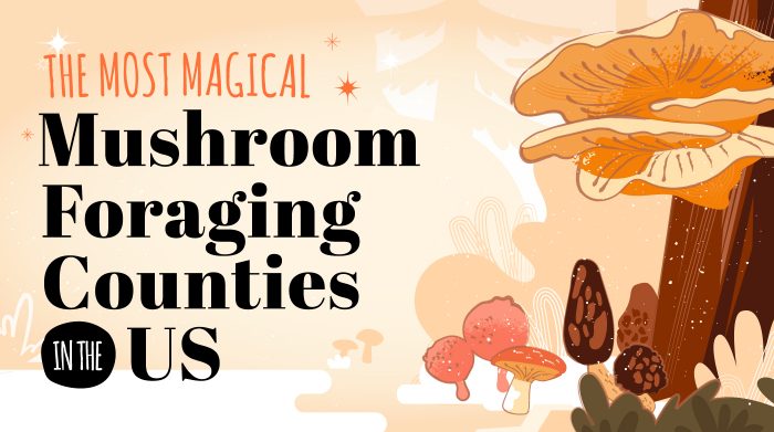 Most-Magical-Mushroom-Foraging_Header-1709