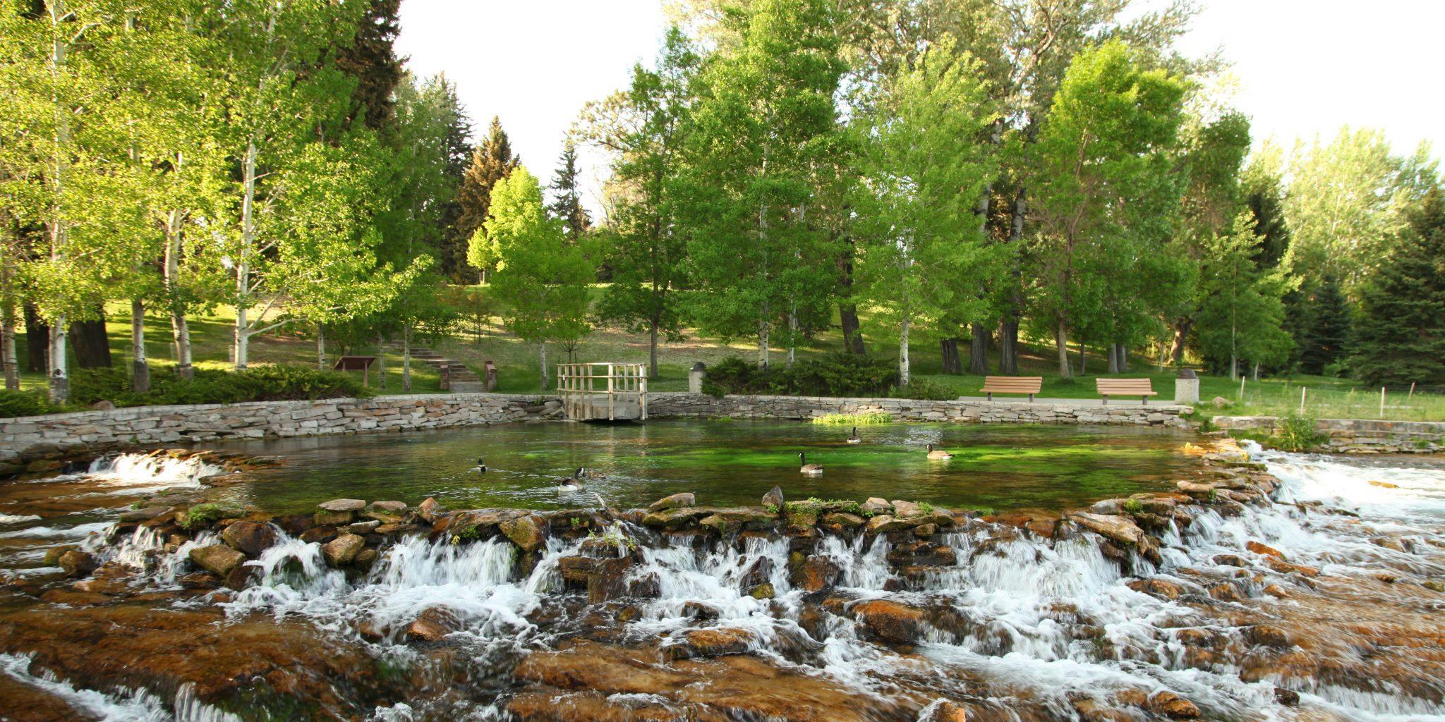 Moving to Bigger Skies The moveBuddha 20212022 Montana Migration