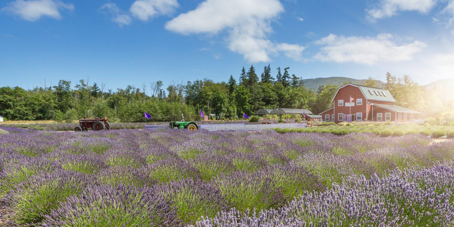 Evergreen State Migration The moveBuddha 20212022 Washington