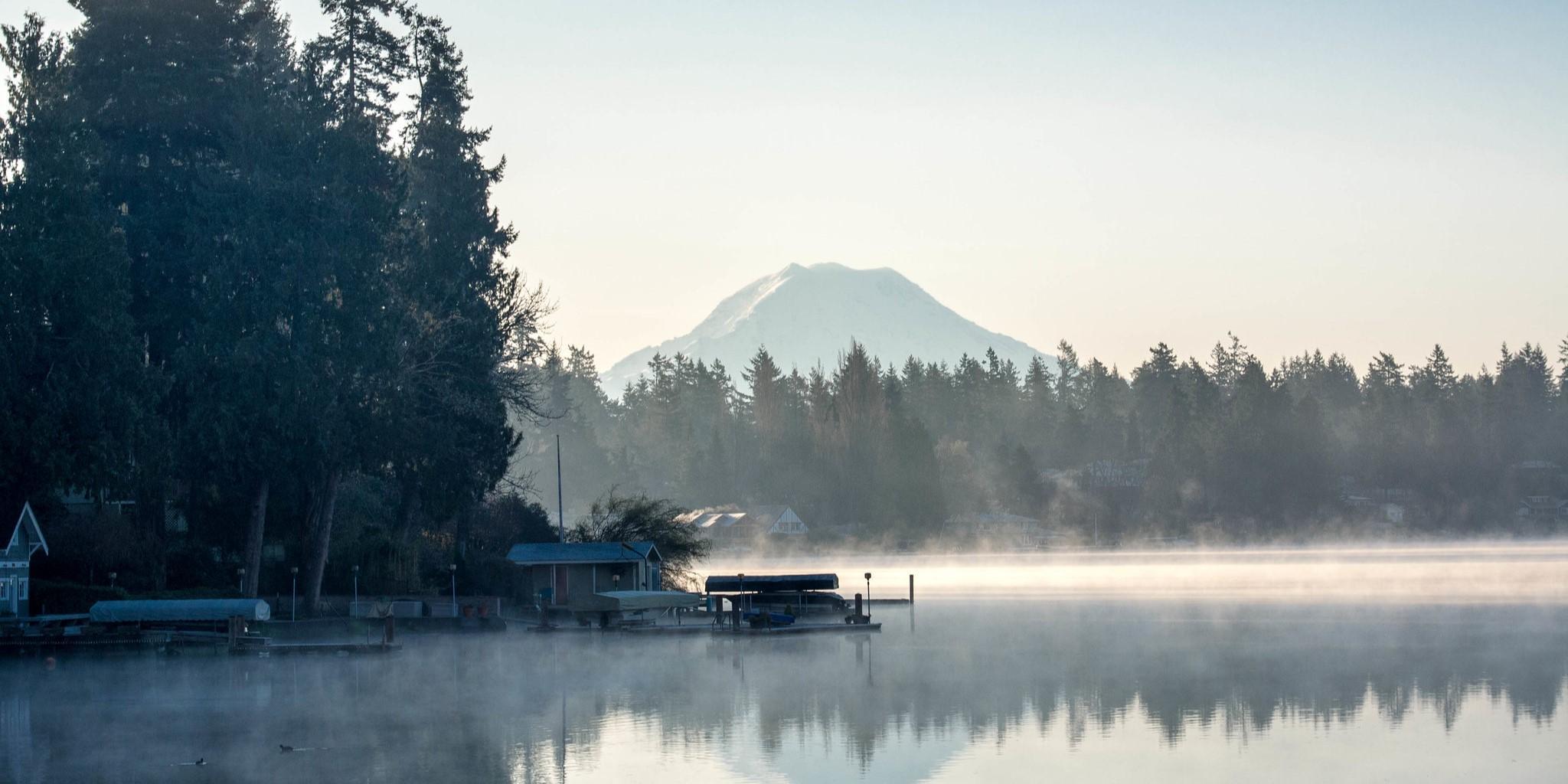 Evergreen State Migration The moveBuddha 20212022 Washington