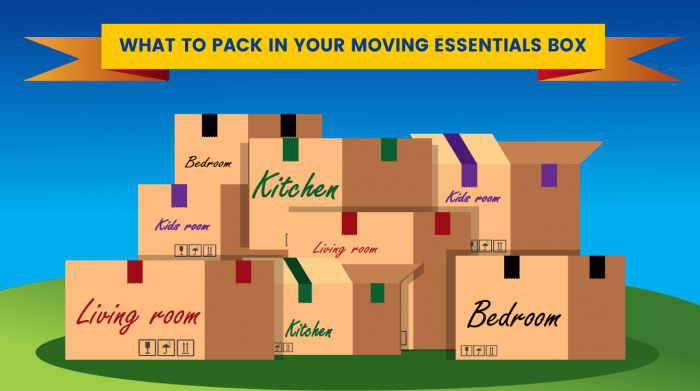 What to Pack in Your Moving Essentials Boxtials-Box