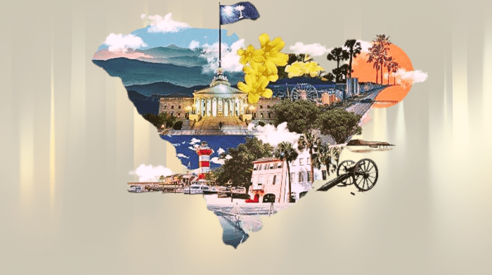 South Carolina Migration and Moves