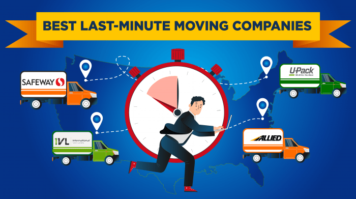 636. Best Last-minute moving companies