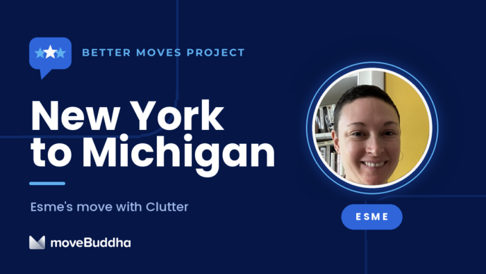 esmenewyorktomichiganclutter