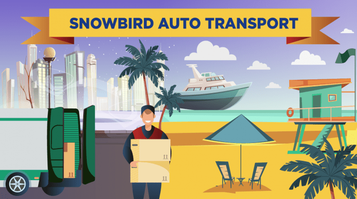 708. Snowbird auto transport