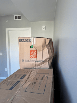 smashed home depot moving box